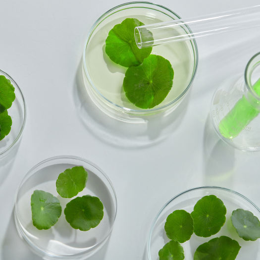 MIXSOON Cicatree Tonique propre 150ml